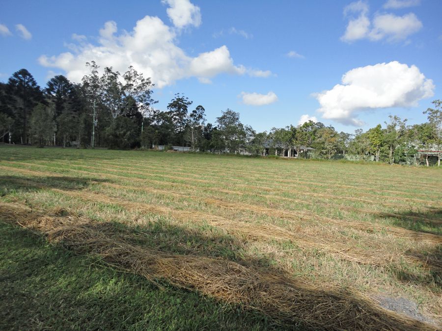 Lot 14, 0 Carrington Road, Carrington QLD 4883, Image 0