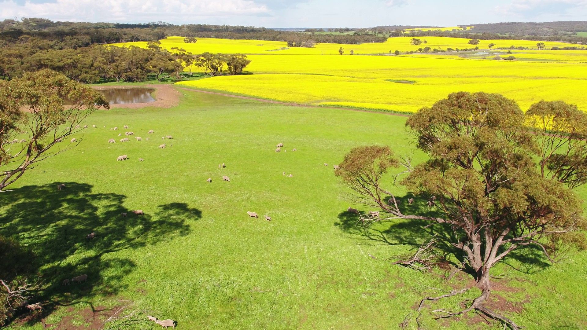 New Norcia Farm, Great Northern Highway, New Norcia WA 6509, Image 0