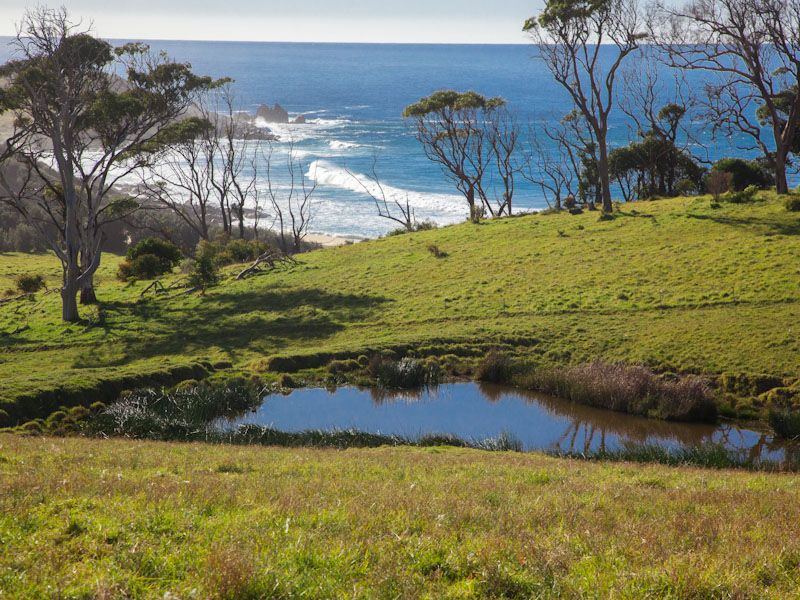 Lot 3 O'Shea Road, Murrah NSW 2546, Image 0