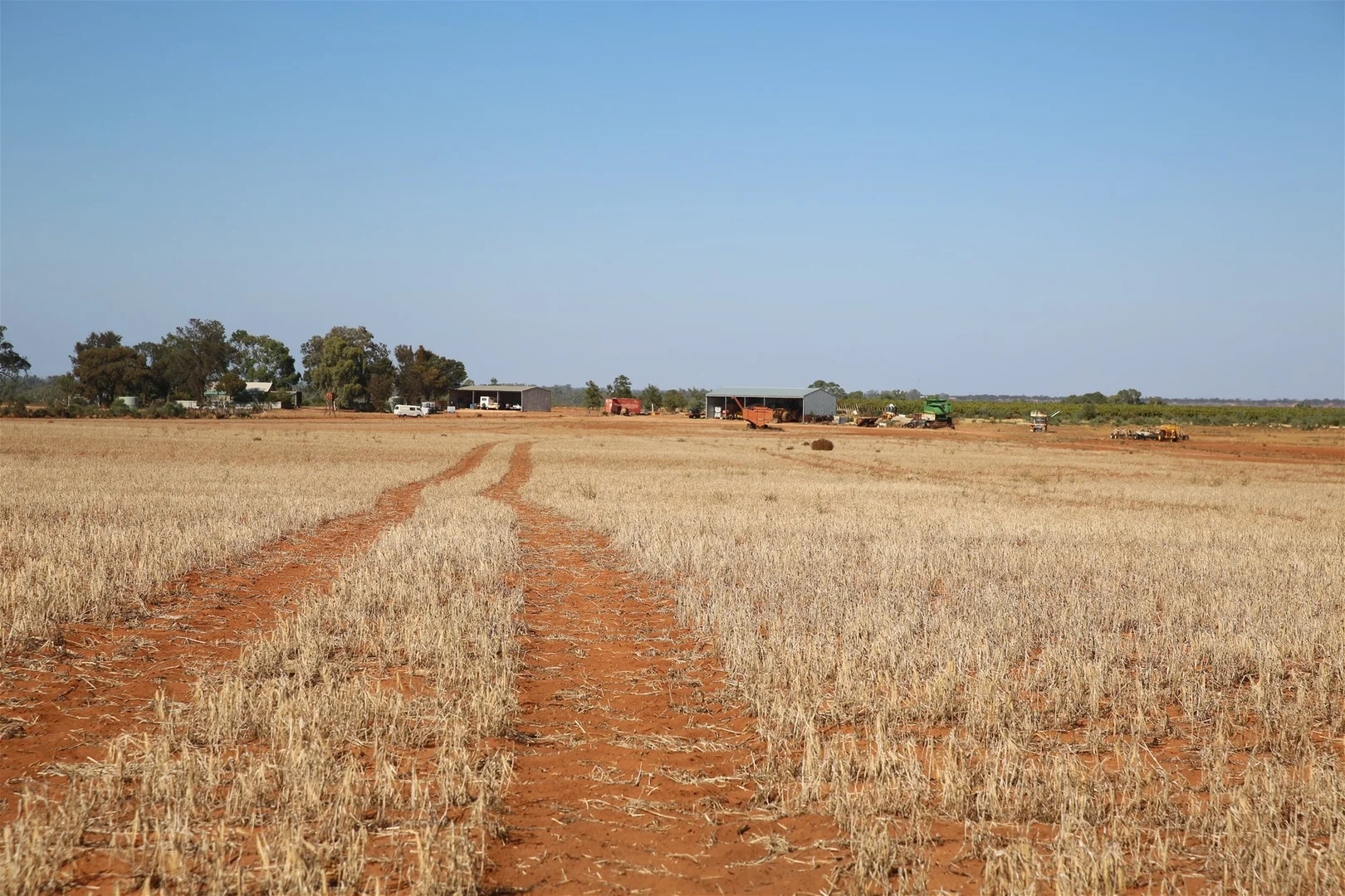 Image 11