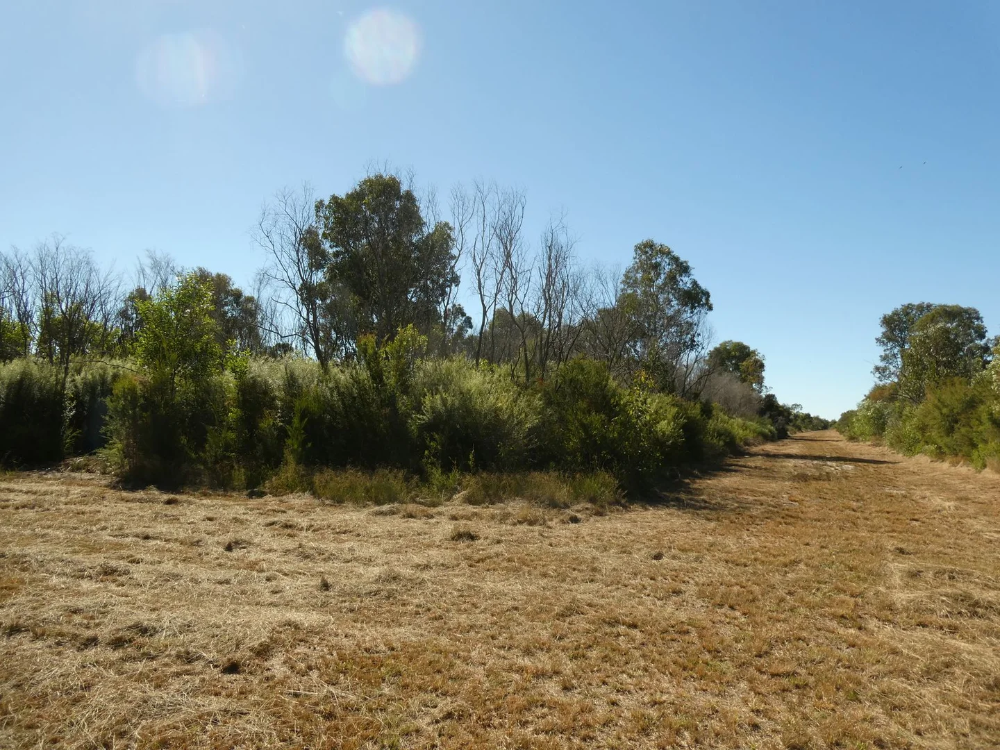 Image 13