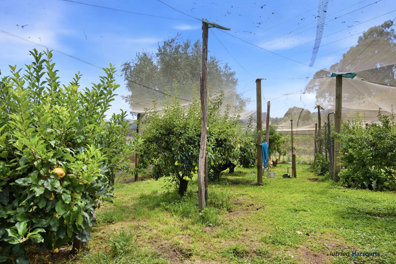 Additional image 20 of 318 Rubicon Road, Rubicon VIC 3712