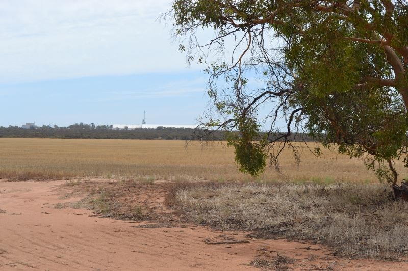 ' Hopwoods/Marshall Rock ’, Bencubbin WA 6477, Image 1