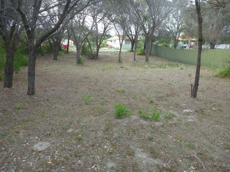 78 (Lot 124) Ti-Tree Road, The Pines SA 5577, Image 0