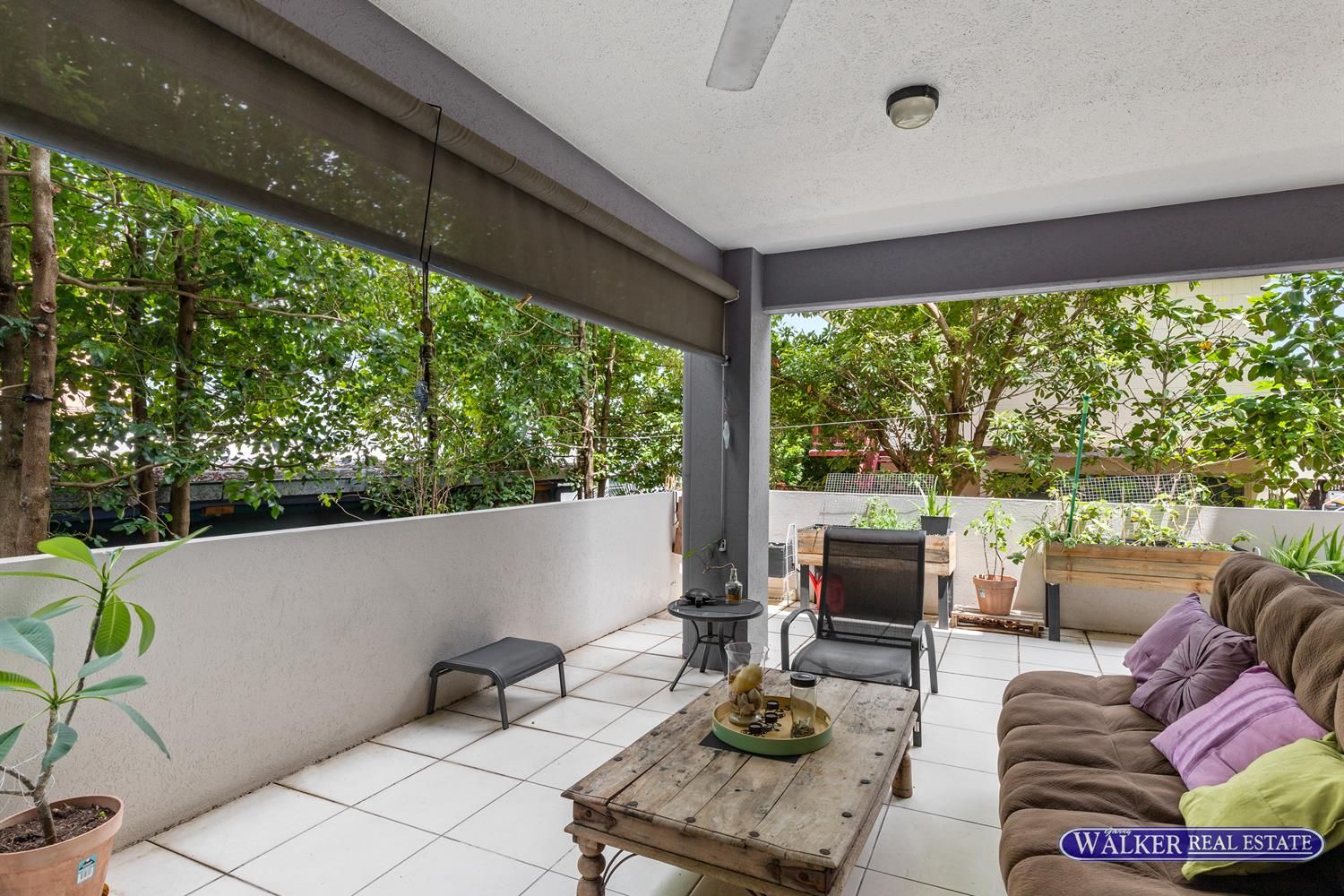 3/172 McLeod Street, Cairns North QLD 4870, Image 0