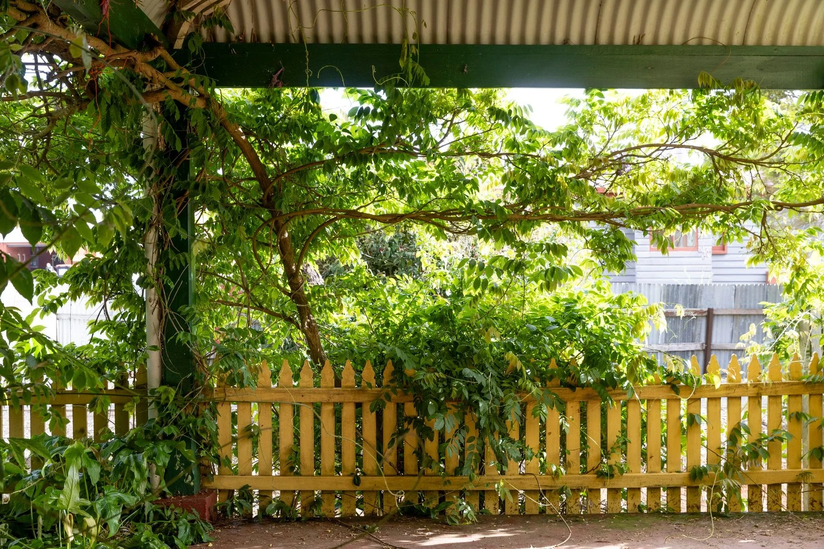 Image 15
