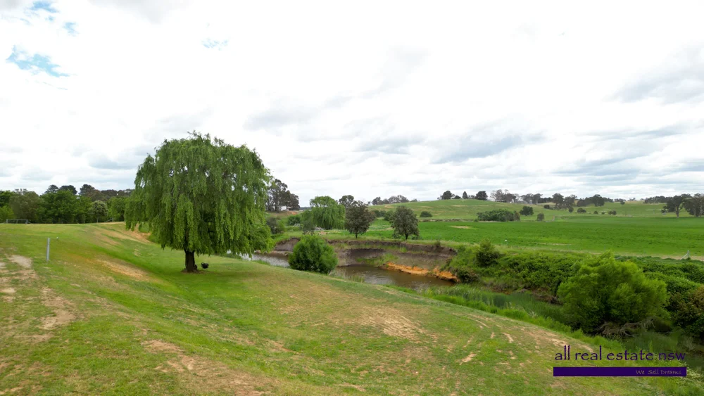 Image 29