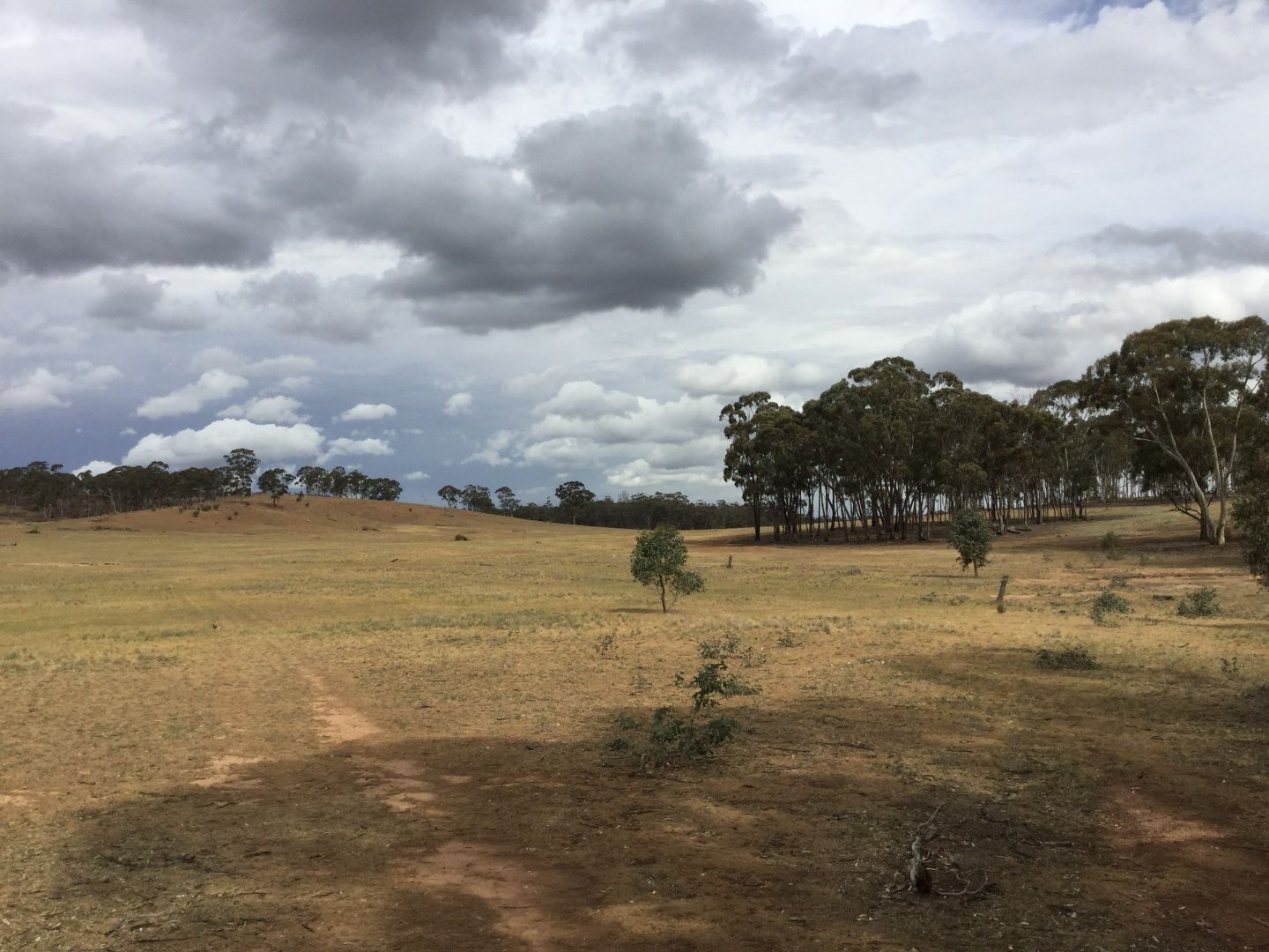 . Burkes Flat- Wehla Rd, Burkes Flat VIC 3475, Image 2