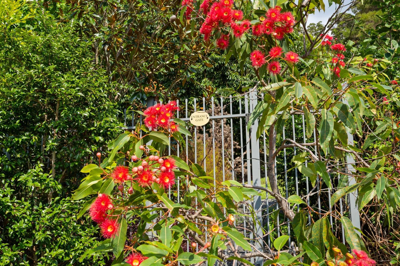 Image 20