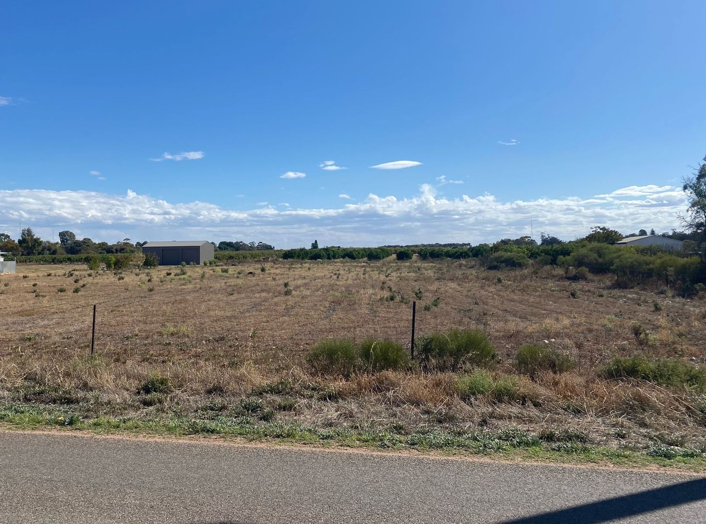 Lot 122 Pope Rd, Waikerie SA 5330, Image 1