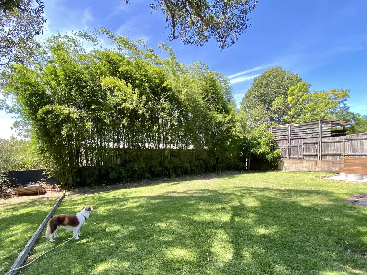 Additional image 21 of 19 John Street, Tingira Heights NSW 2290