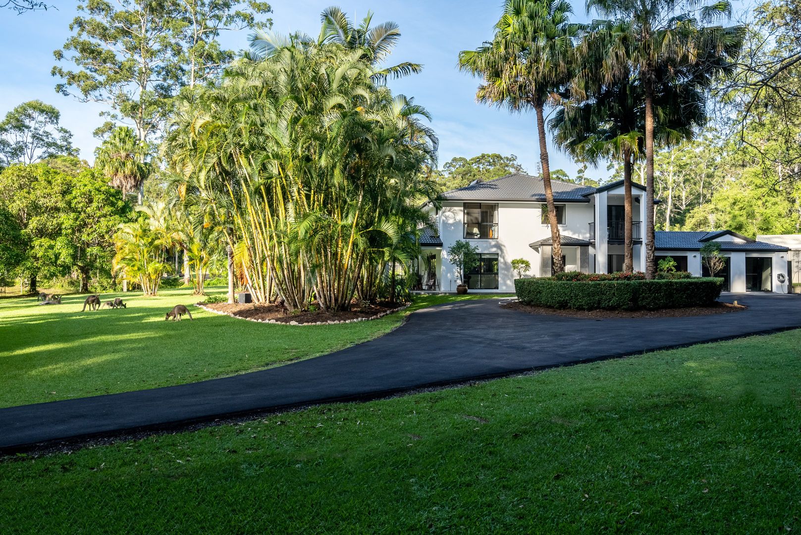 6 Sawreys Road, Forest Glen QLD 4556, Image 2