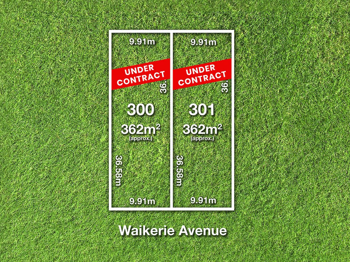 33 Waikerie Avenue, Hope Valley SA 5090, Image 0