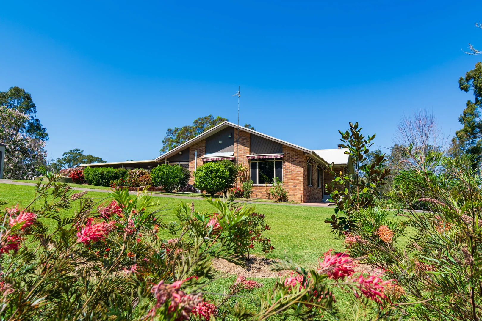 Additional image 38 of 302 Scone Road, Gloucester NSW 2422