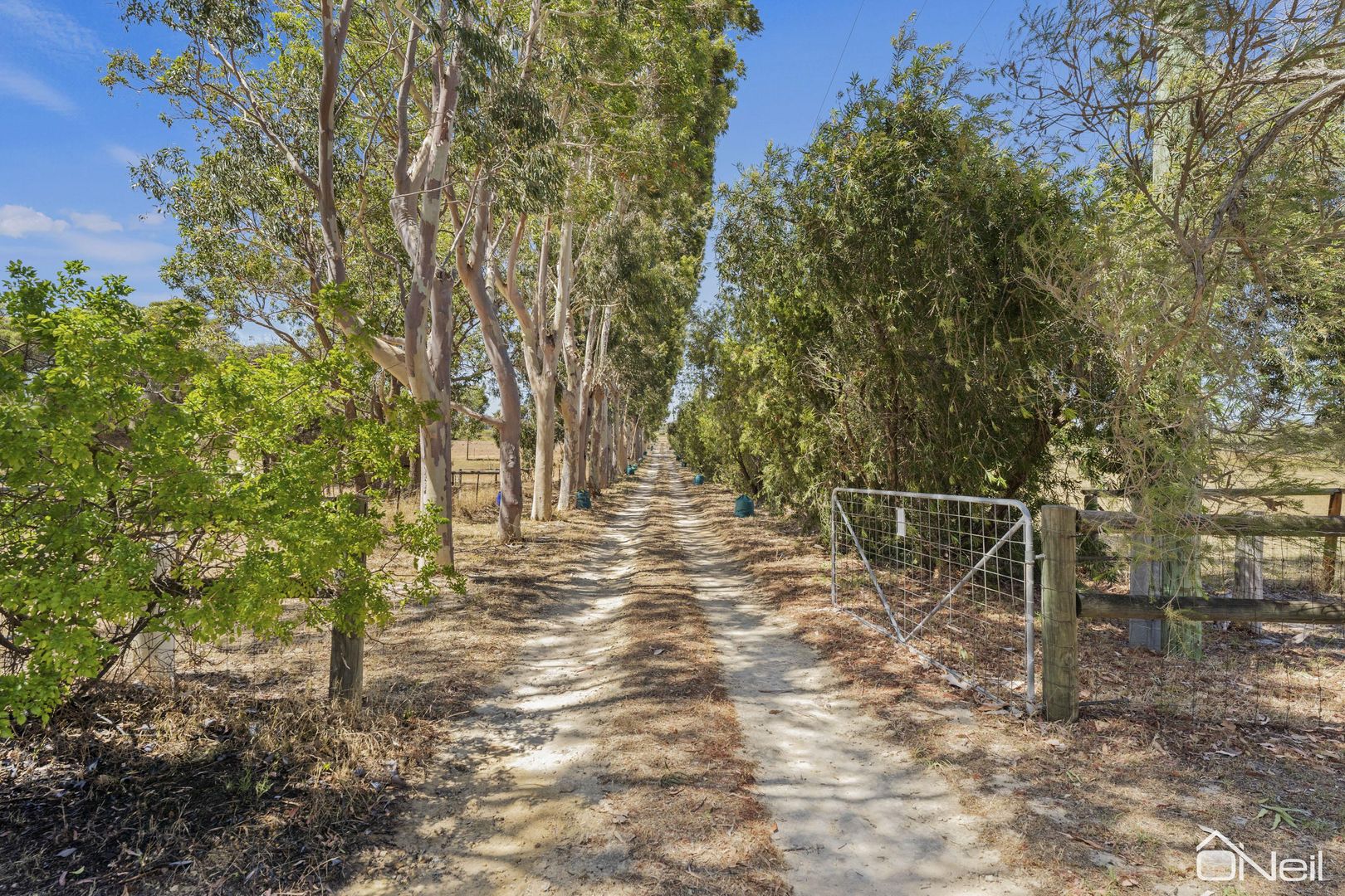 1233 Karnup Road, Serpentine WA 6125, Image 1