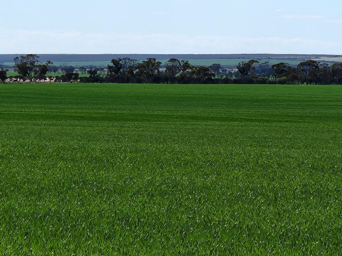 Murray Rocks Road, Hyden WA 6359, Image 0