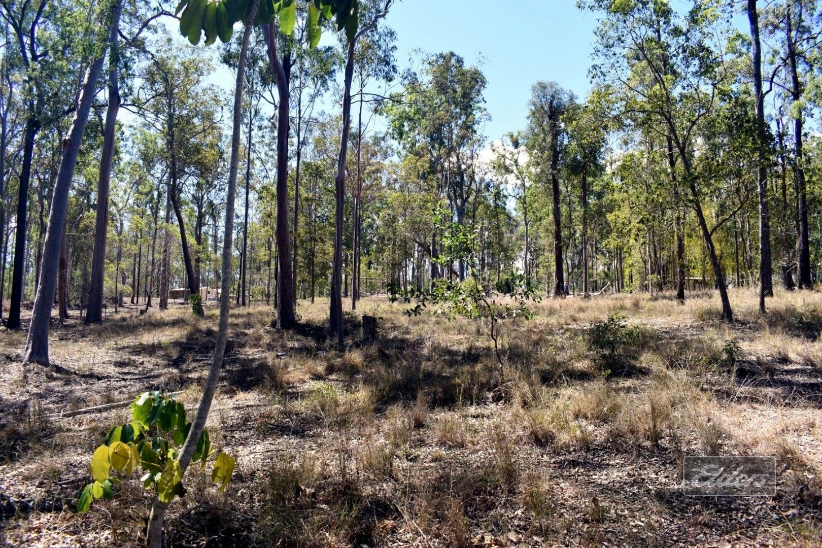 Lot 161 Harvey Road, Glenwood QLD 4570, Image 1