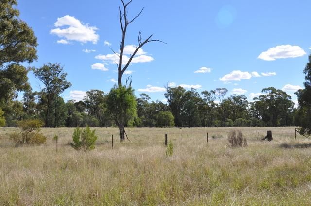 Picture of Trundle - Tullamore Rd, TRUNDLE NSW 2875