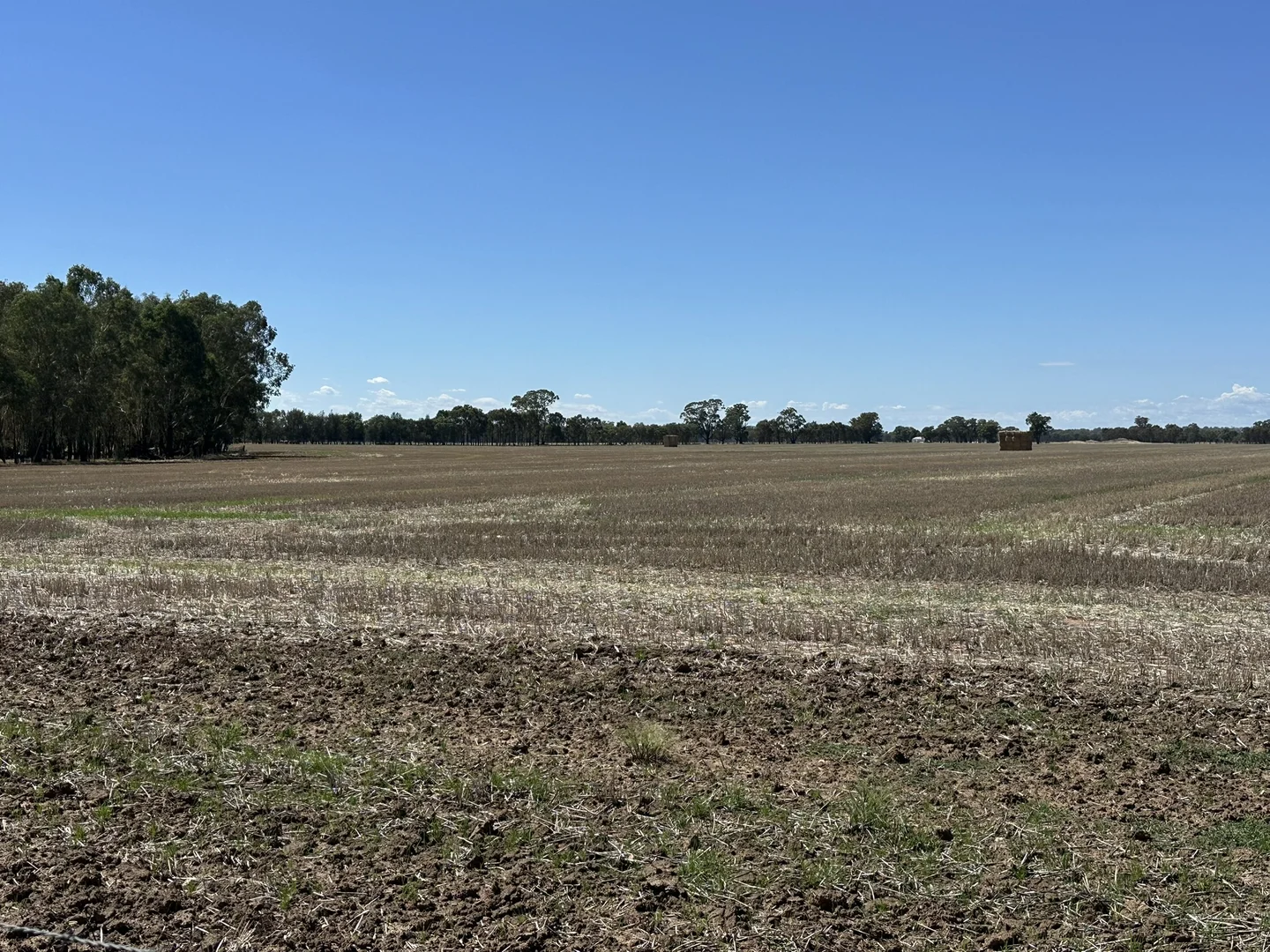 Additional image 15 of 1501 Howlong-Goombargana Road, Brocklesby NSW 2642