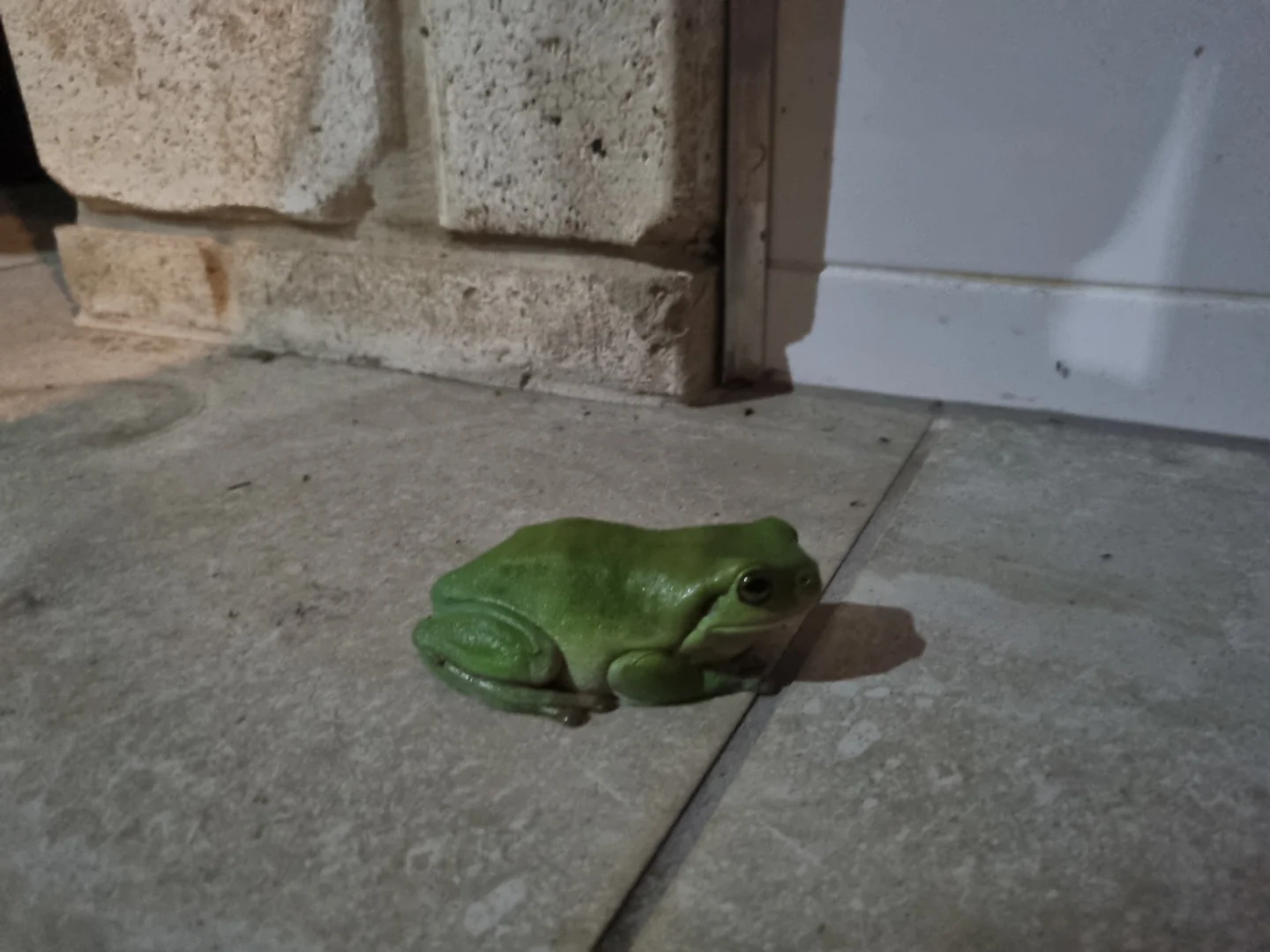 Additional image 35 of 64 Ghost Gum Road, Sharon QLD 4670