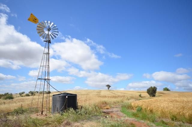 Various Lots Booleroo Centre and, MURRAY TOWN SA 5481, Image 1