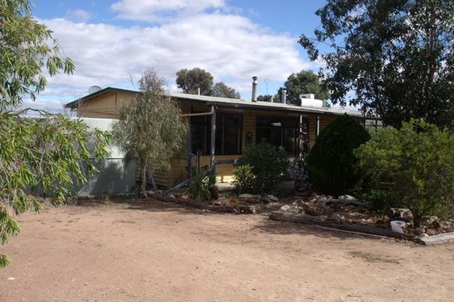 Picture of 1278 BURKES FLAT - WEDDERBURN ROAD, FENTONS CREEK VIC 3518