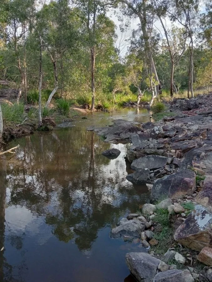 Image 35