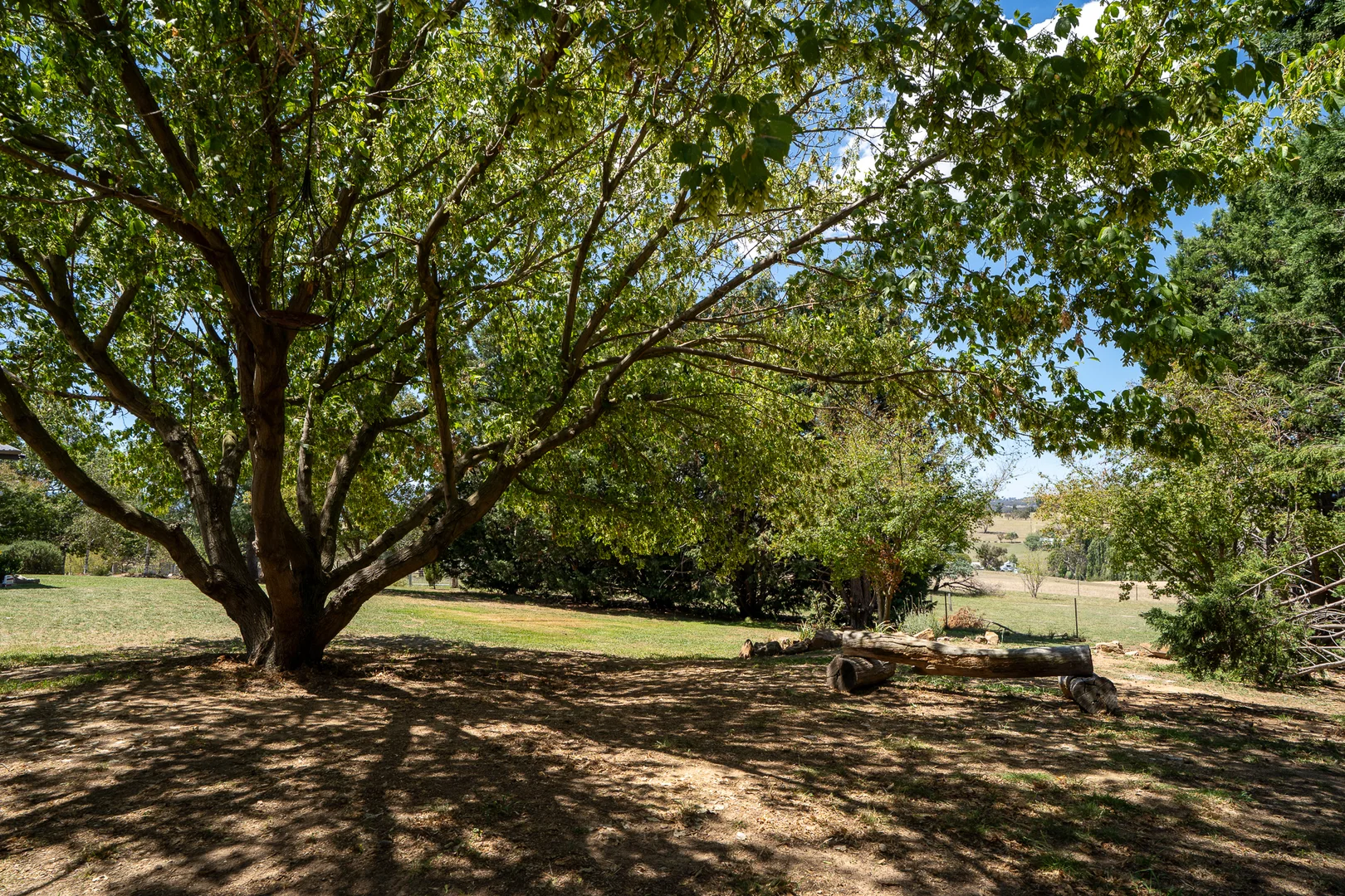 Image 23