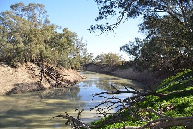 Picture of * Moorabin, WILCANNIA NSW 2836