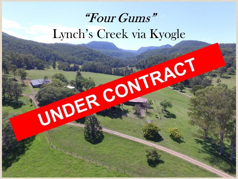 Lot 1 - 1061 Lynchs Creek Road, Kyogle NSW 2474, Image 0