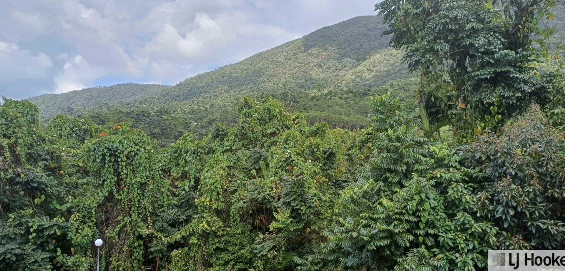 Additional image 8 of 3 Kirk Street, Tully QLD 4854