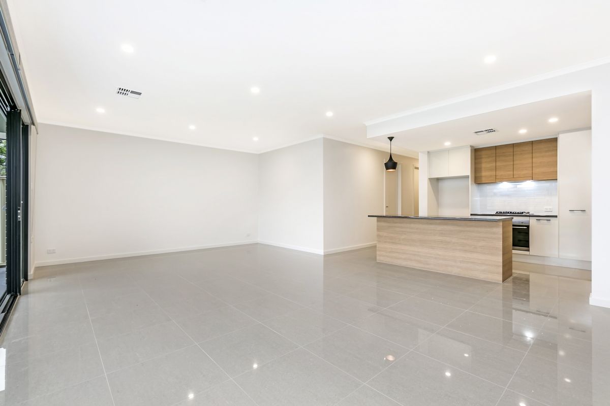 3a Penong Ave, Camden Park SA 5038, Image 2