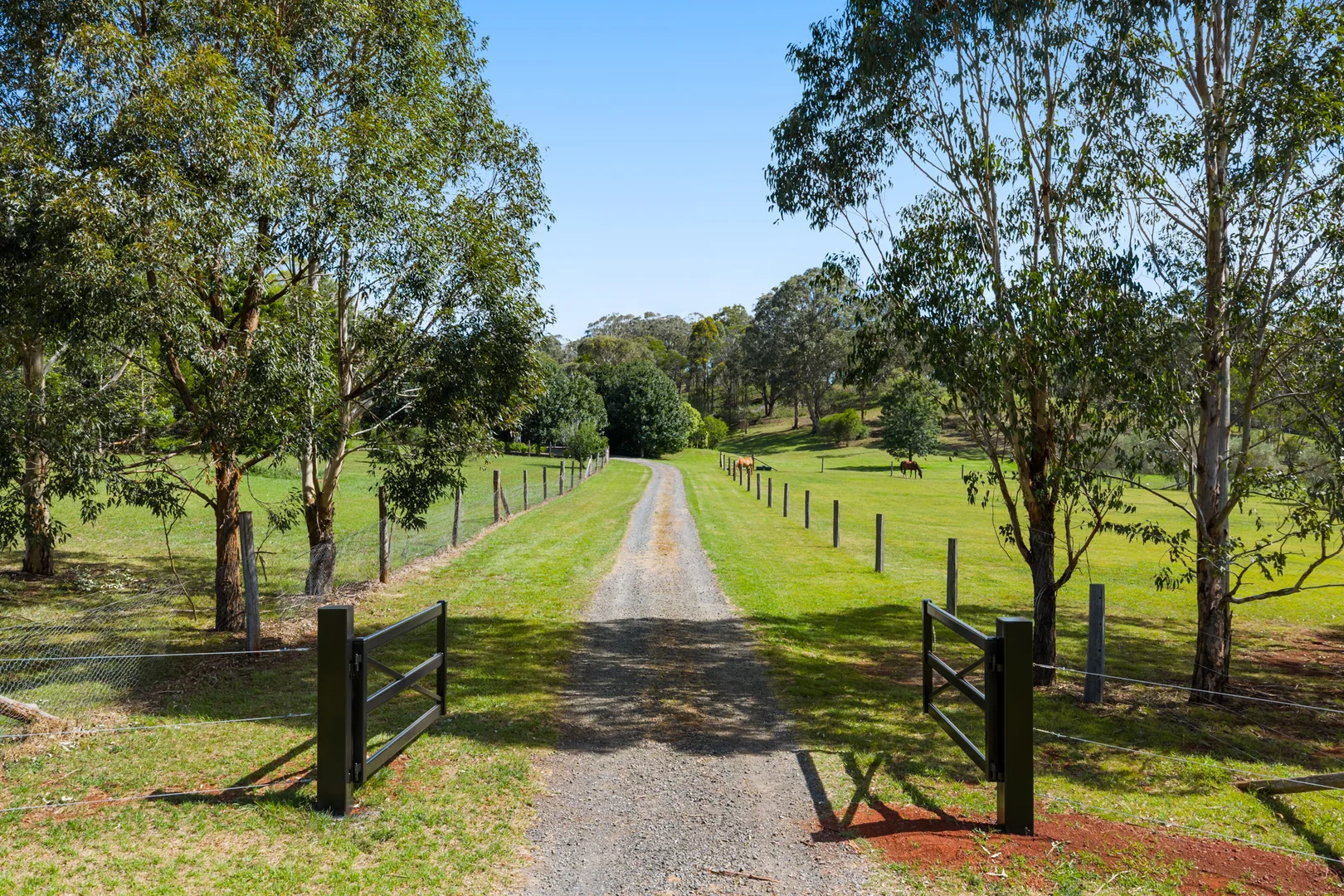 Additional image 13 of 205 Hampton Road, Hampton QLD 4352