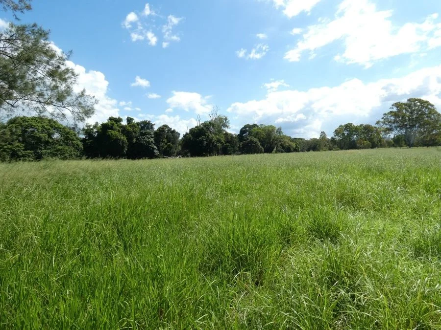 Image 30