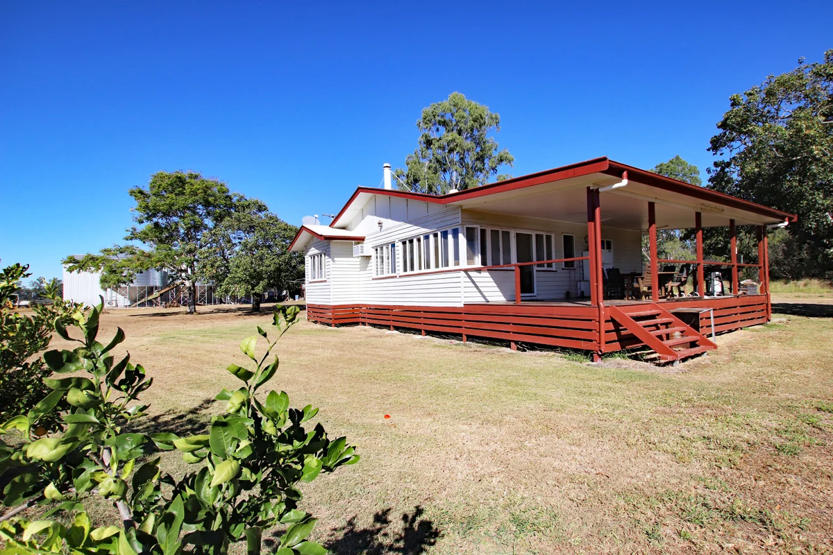 Image 10