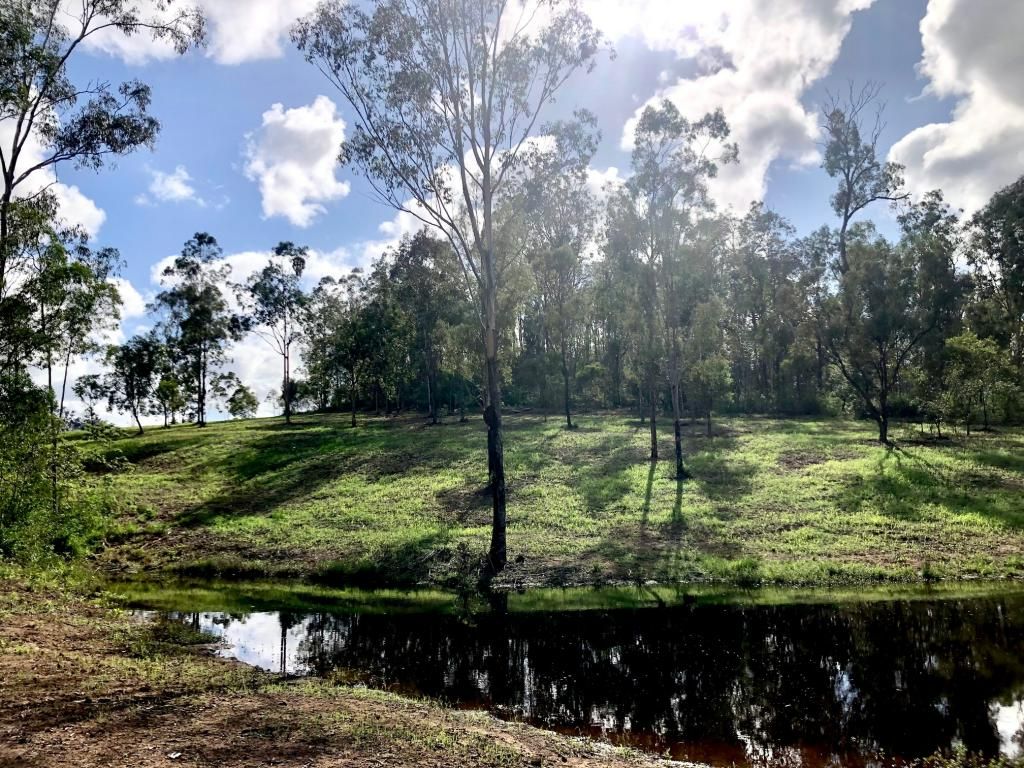 South Kolan QLD 4670 vacant land for Sale, 459,000 2018958328 Domain