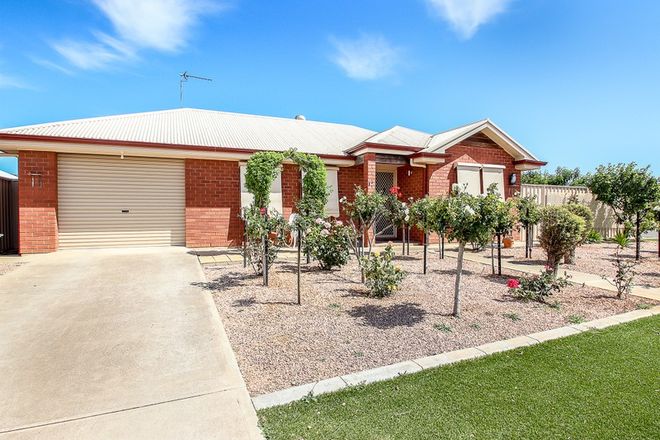 Picture of 12 Bowyer Ct, MOONTA BAY SA 5558
