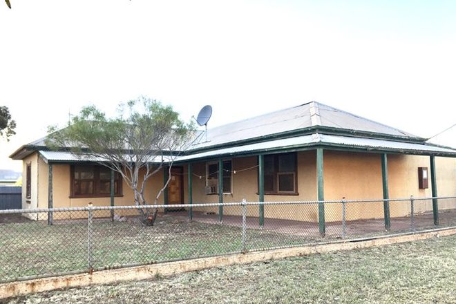 Picture of 26 Thomas Street, MINNIPA SA 5654