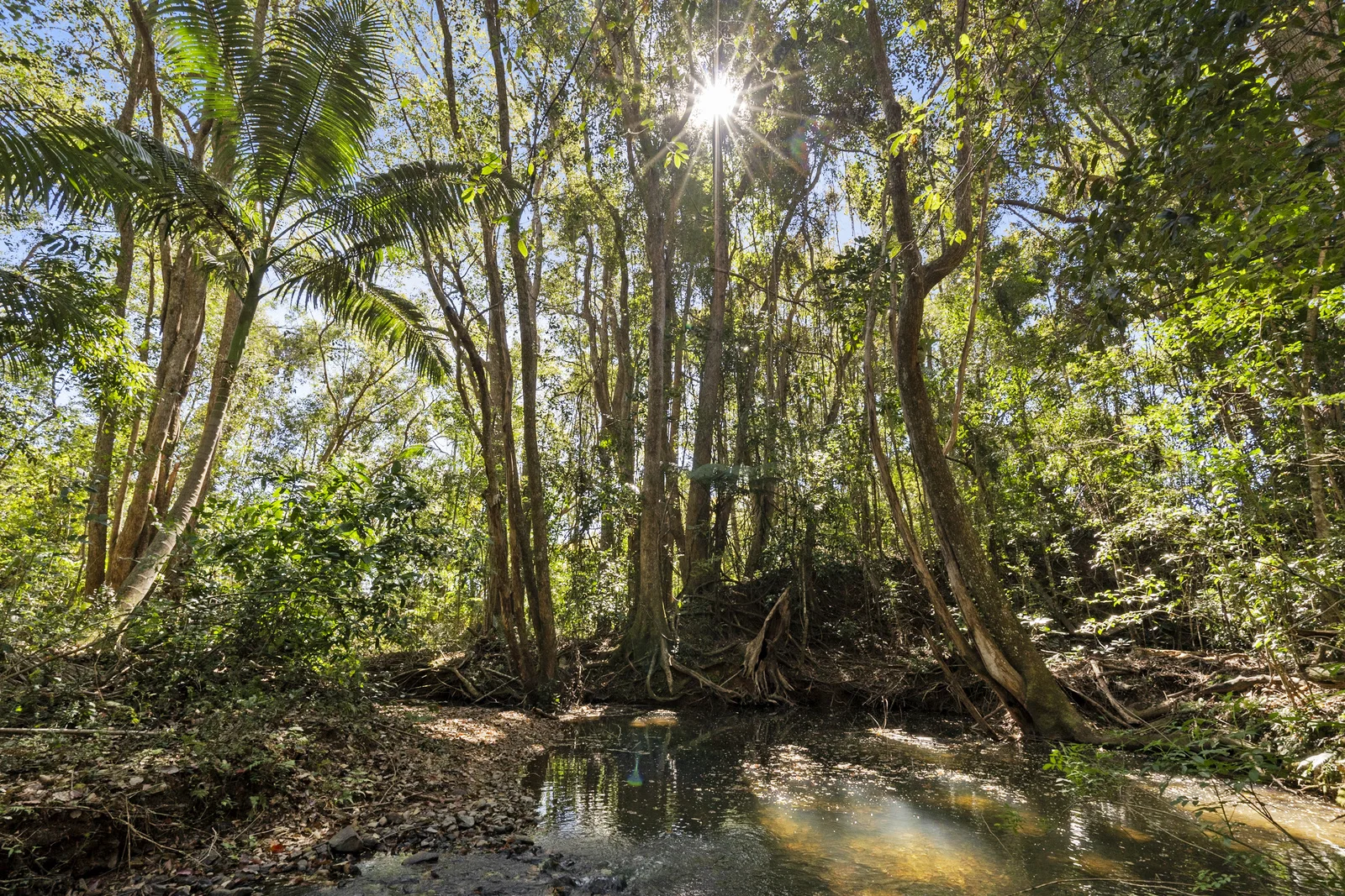 Image 12