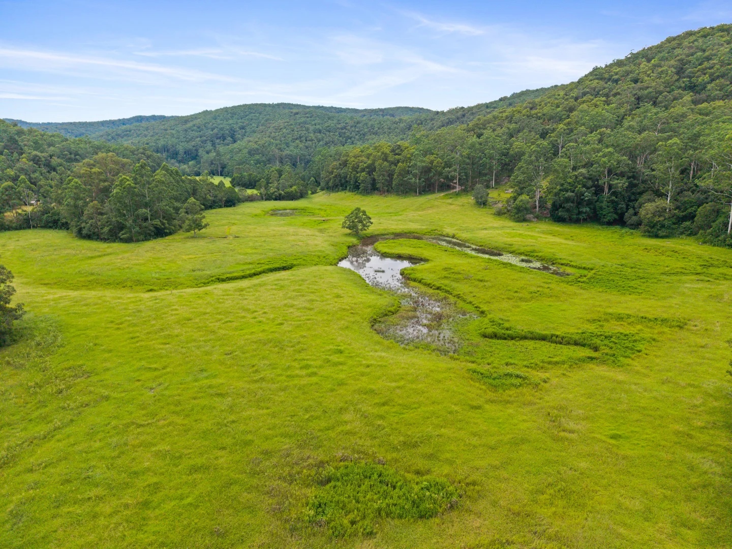 Additional image 7 of 228 Brush Creek Road, Cedar Brush Creek NSW 2259