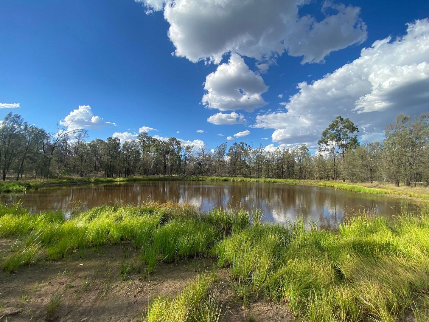 Lot 45 Chinchilla Tara Road, Wieambilla QLD 4413, Image 1