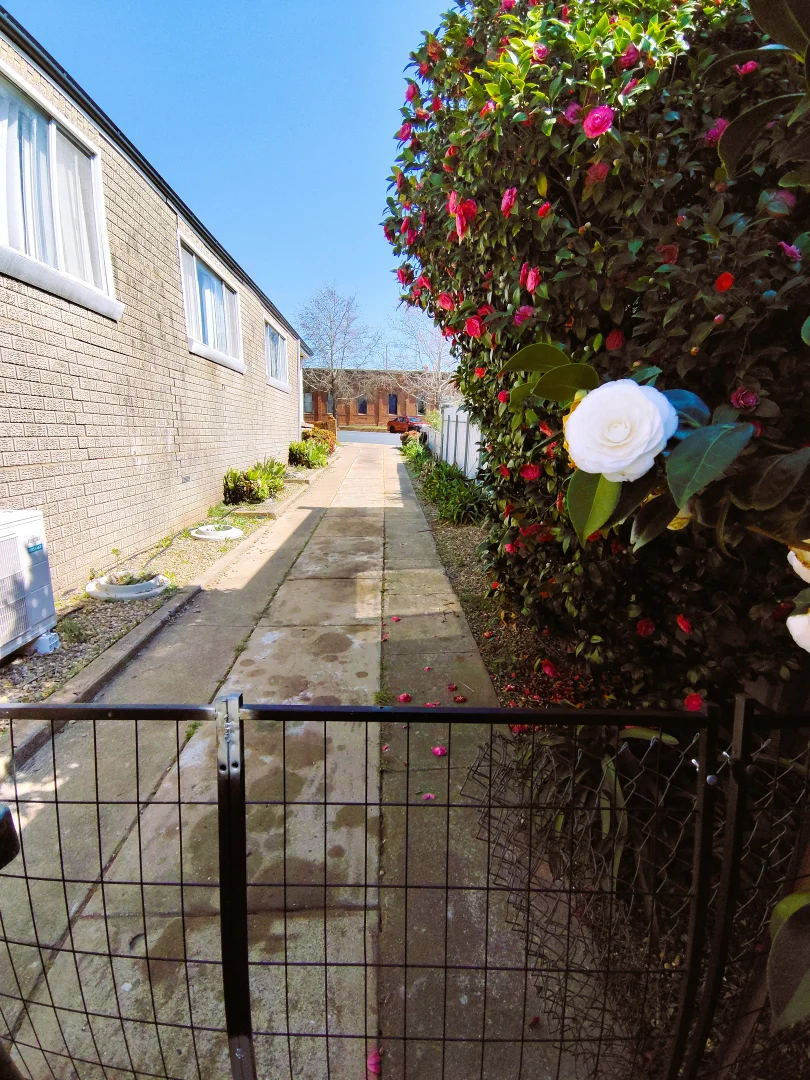 Image 20
