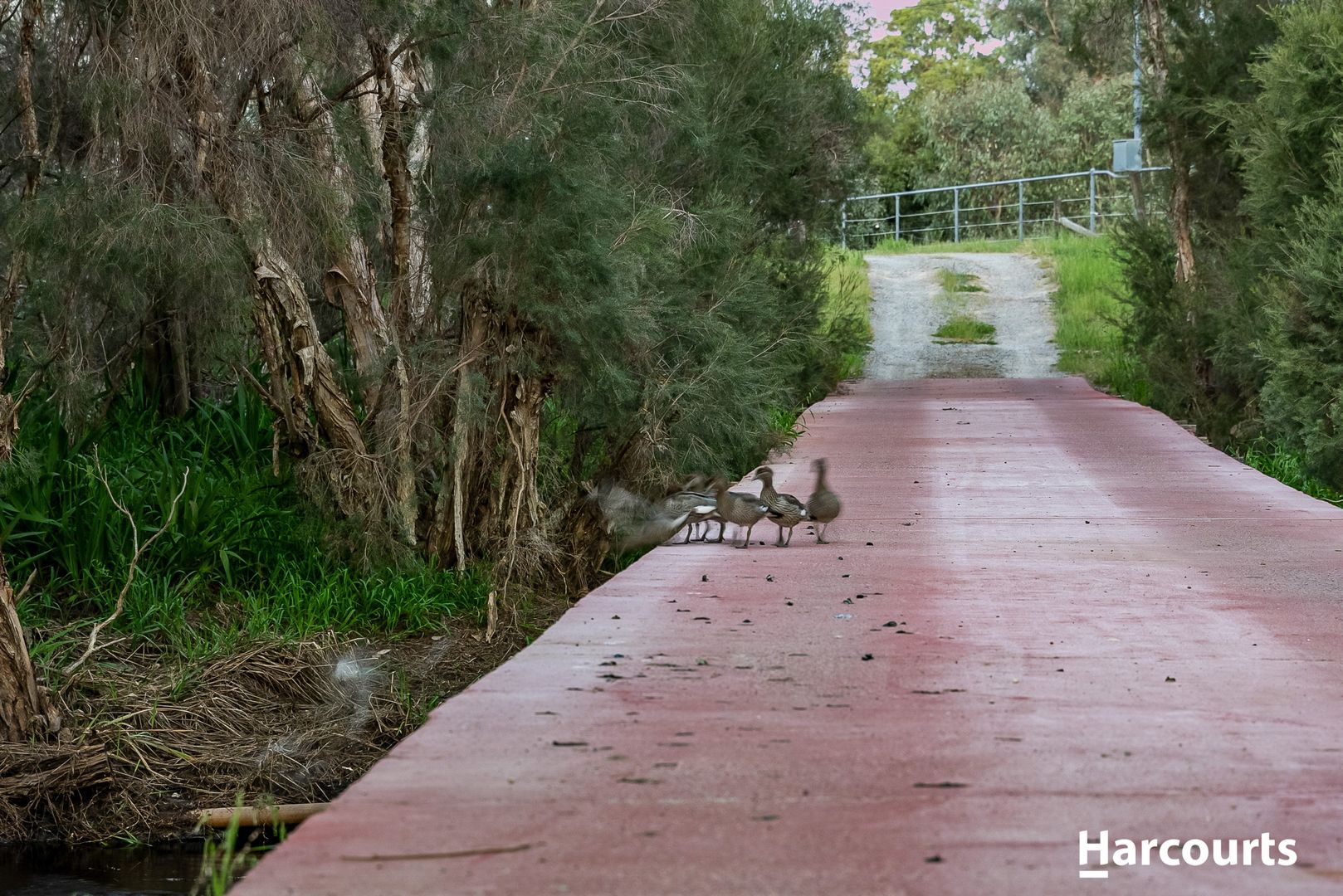 1849 Great Northern Highway, Bullsbrook WA 6084, Image 1