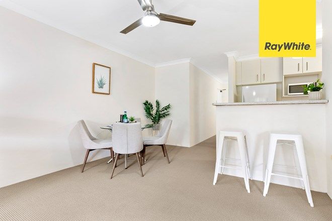 555 Apartments For Sale In Marsfield Nsw 2122 Domain