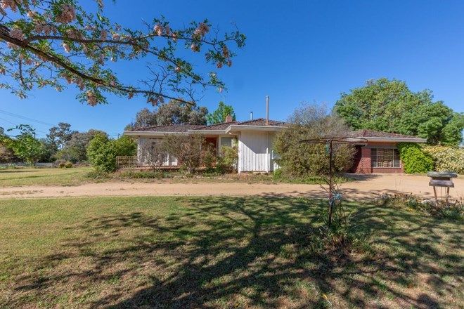 Picture of 26 Third Avenue, HENTY NSW 2658