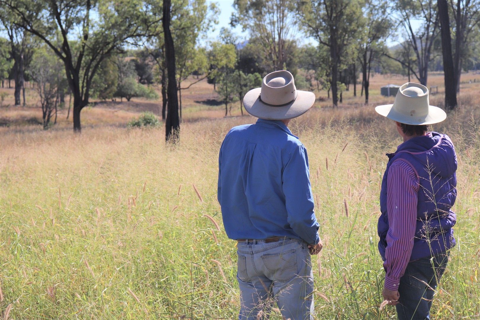 Crosscut Acres 64 Cattle Creek Road, Mundubbera QLD 4626, Image 0