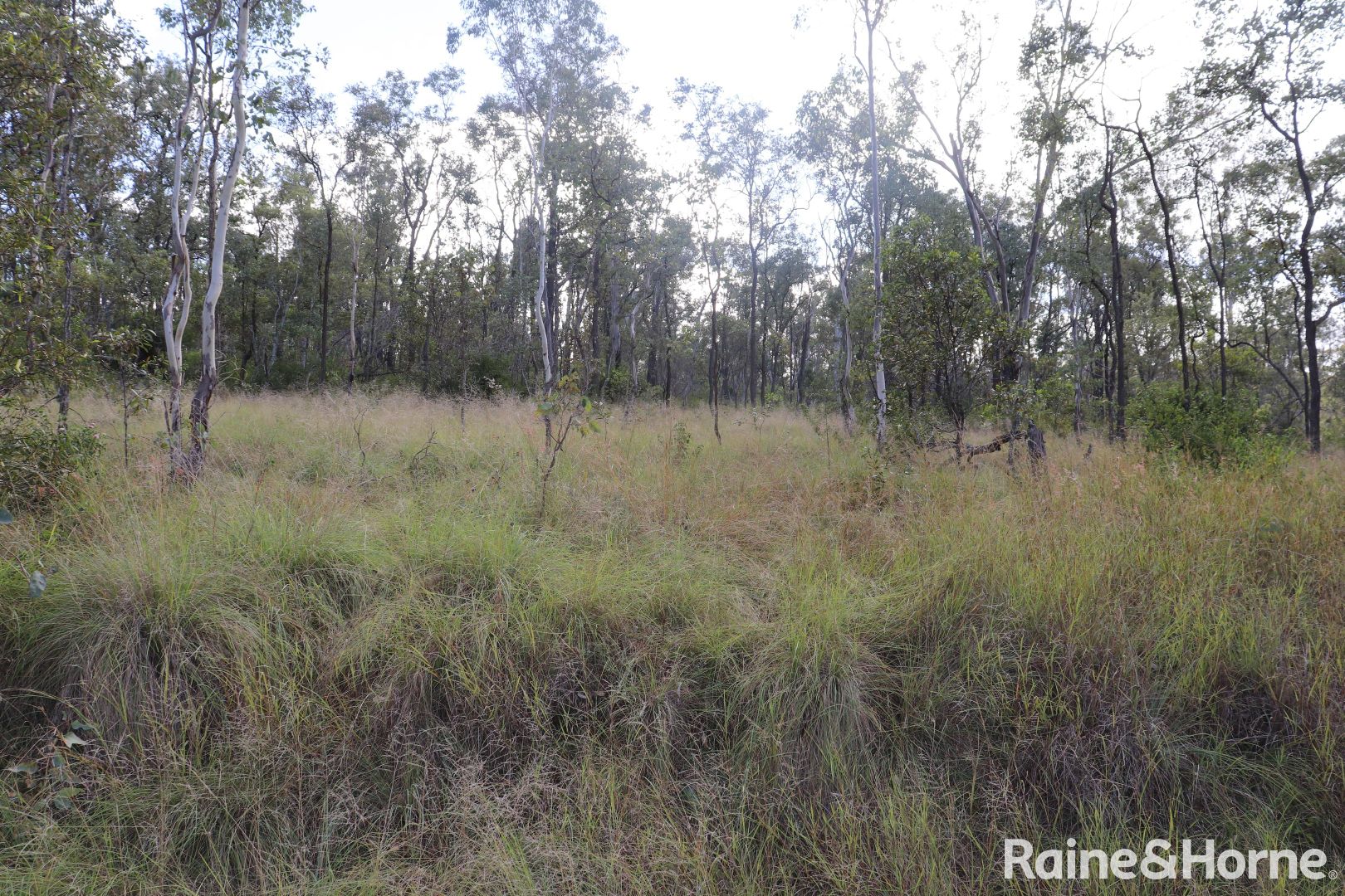 Lot 63 Franklin Road, Wattle Camp QLD 4615, Image 2