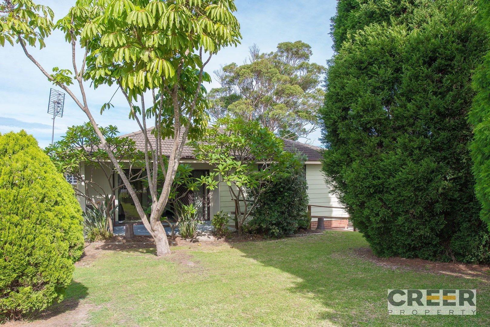 18 Manfred Avenue, Windale NSW 2306, Image 0