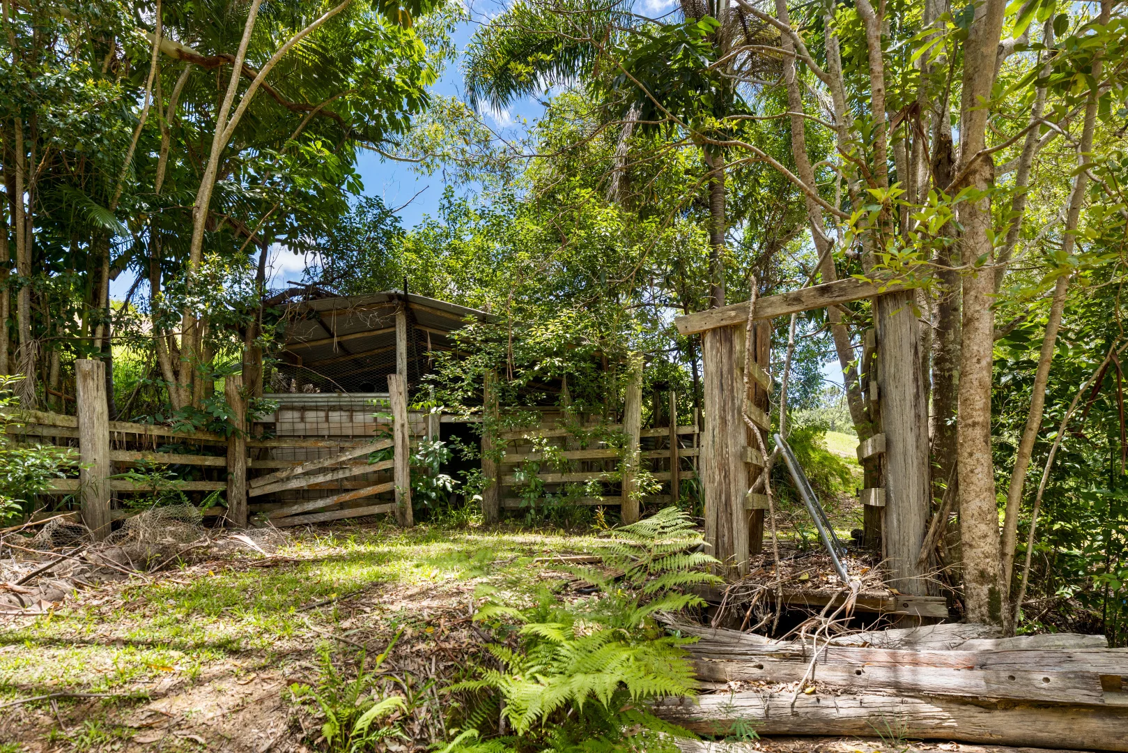 Additional image 25 of 136 Wust Road, Cooroy QLD 4563