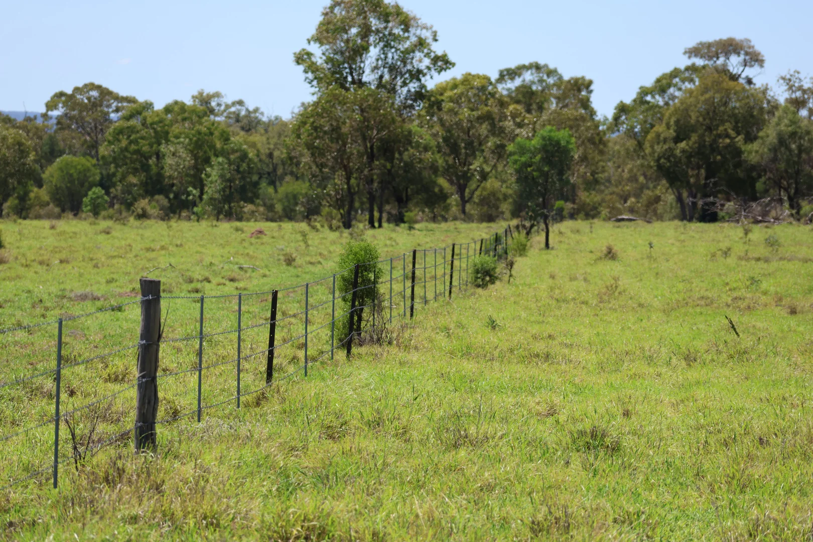 Additional image 20 of 3752 Mitchell Forest Vale Road, Mitchell QLD 4465